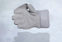 Load image into Gallery viewer, Platinum Edition Wicket Keeping Gloves
